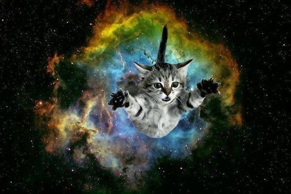 Сергей Колов