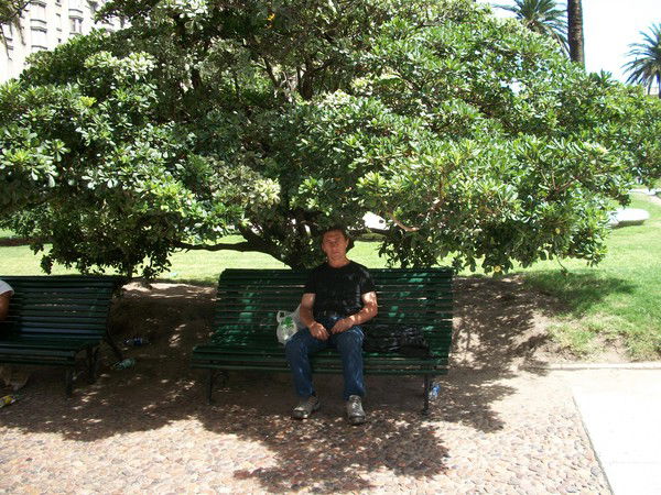 Сергей Богданов