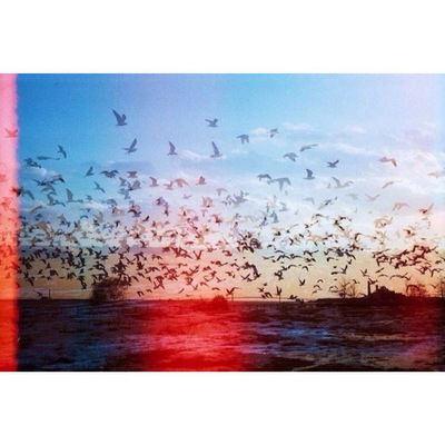 Ольга Харченко