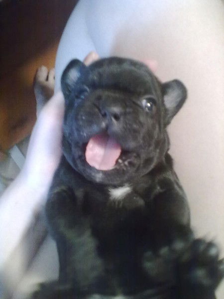 Лилечка *****