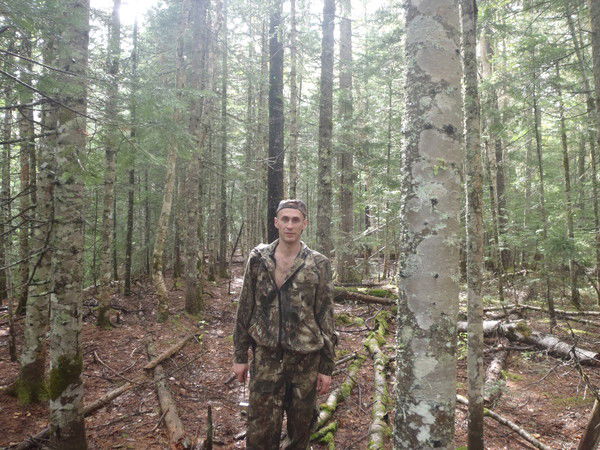 Владимир Шлеин