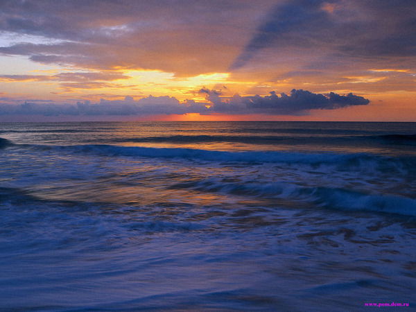 Ася Егорова