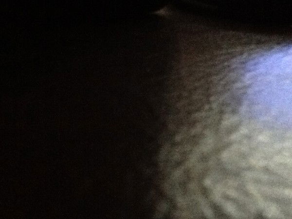 Евгений Антонов