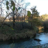 Николай Сорокин