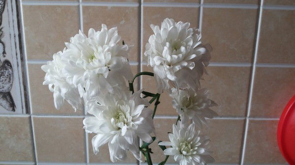 Асель Нусипкожа