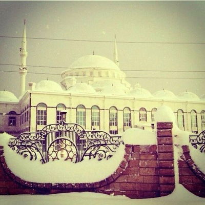 Джули Керимова