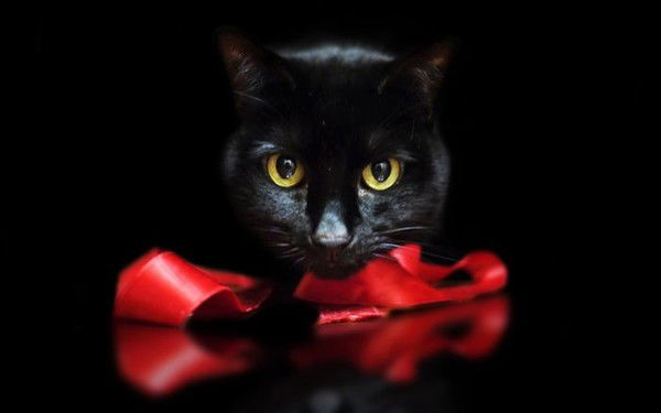 Танюшка Кадушкина