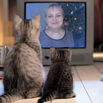 Нелля Немцова