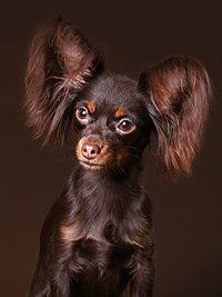 Елена Осипова