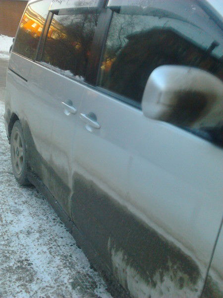 Евгения Полыгаловамедвед