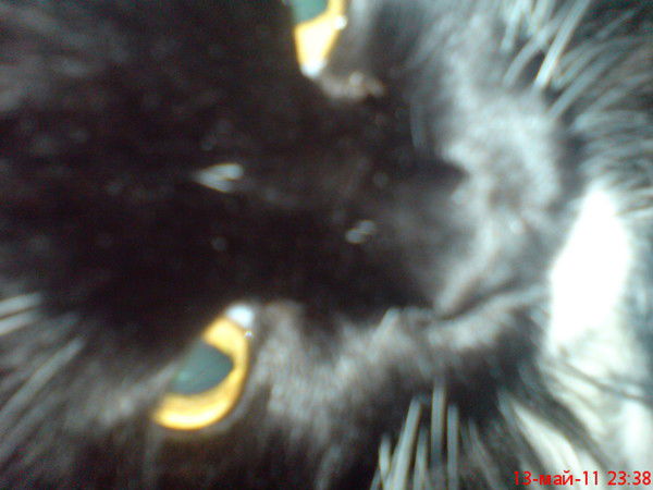 Андрей Зяблинский