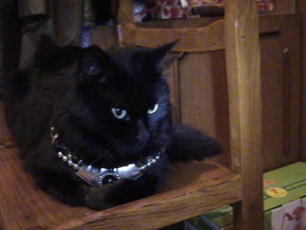 Людмила Гаева