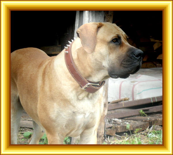 Сергей Винокуров