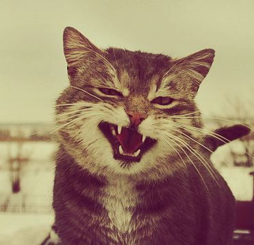 Юля Порунова