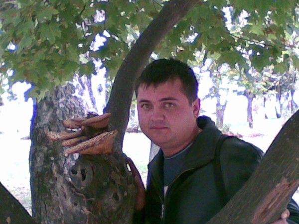 Александр Коломийцев