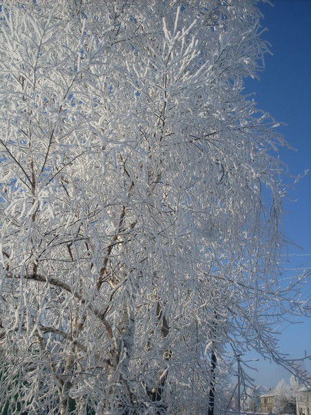 Светлана Полянских