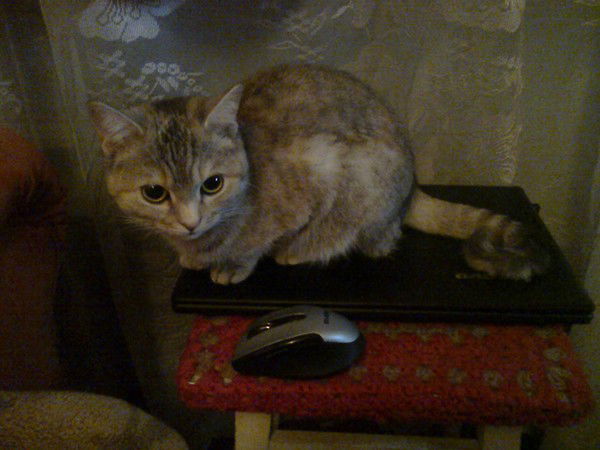 Надежда (Сушко) Карпухно