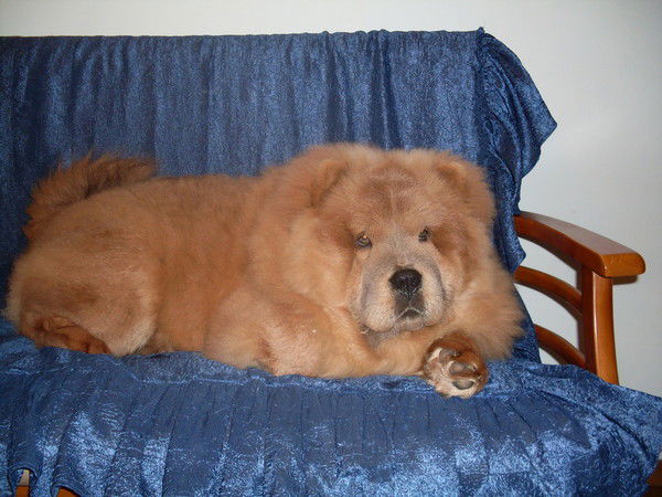 Наталья Мирек