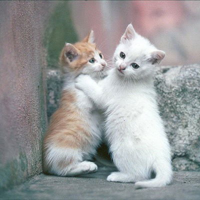 Ксюша Савиных