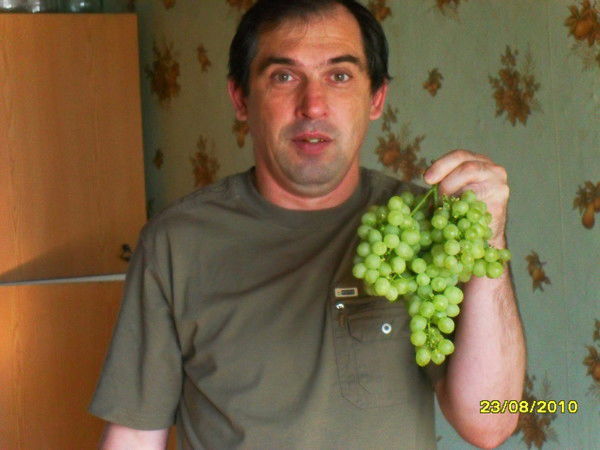 Александр Ёлчев