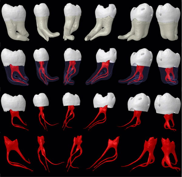 Дилором Ахмедова