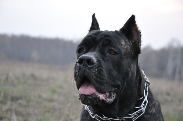 Юра Смирнов