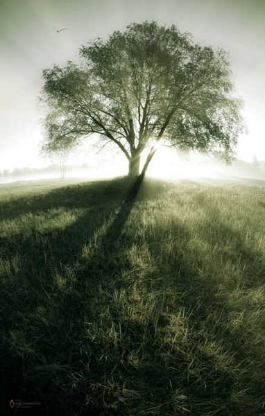 Жанар Турабекова