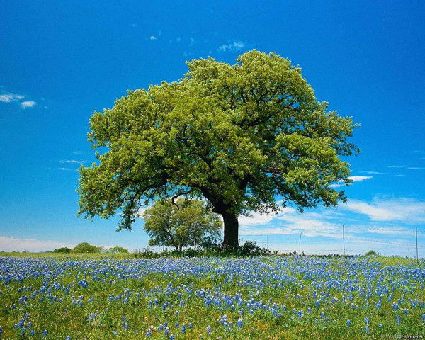 Дмитрий Холодков