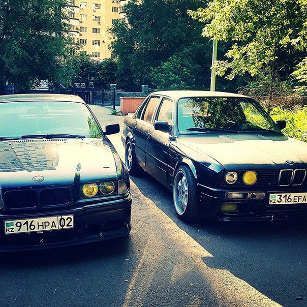 Анастасия Куур