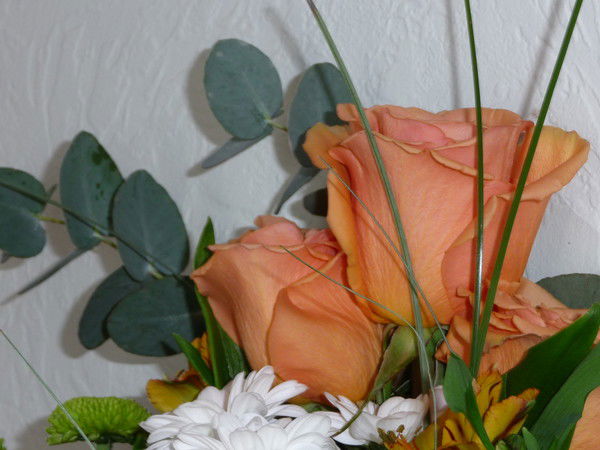 Альбина Гиматова