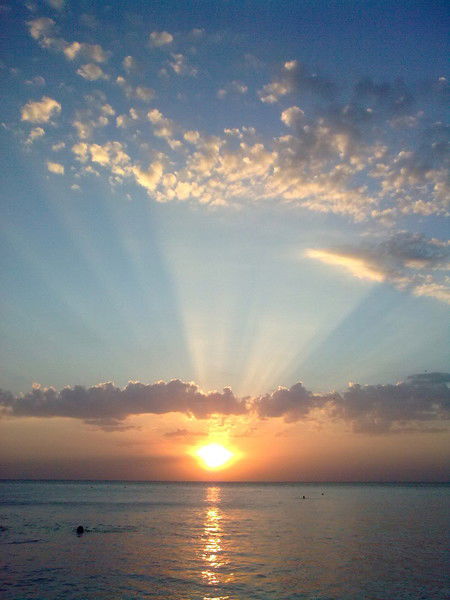 Надежда Черница