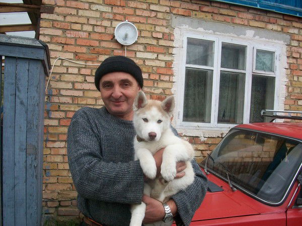 Владимир Гирнык