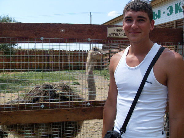 Дмитрий Мизгирёв