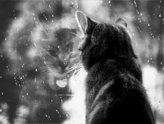 Анастасия Головезникова