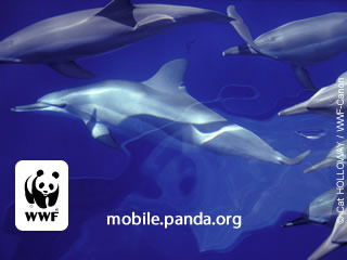 Кайнар Зарыпханов