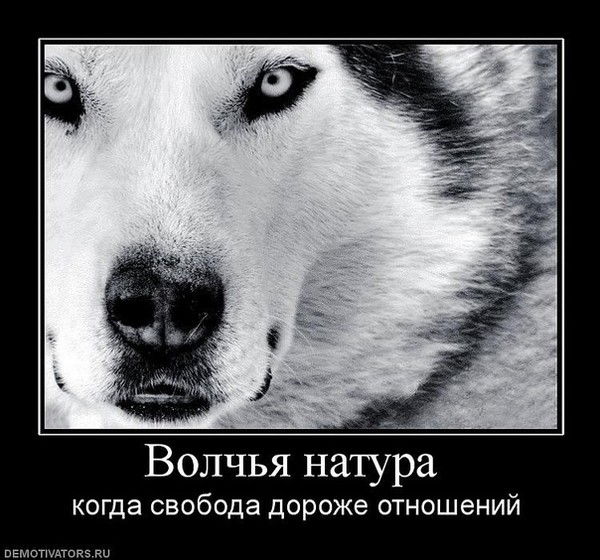 Тимur Ruстам Coolboy