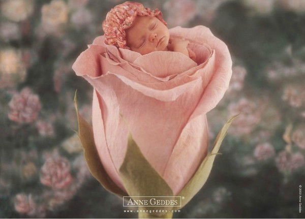 Евгения Шаповалова