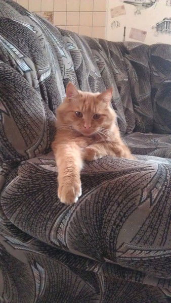 Саша Свидерский