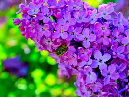 Айжан Бутаханова