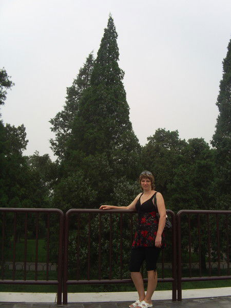 Татьяна Лысенко