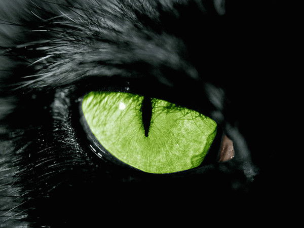 Маргарита Гумбатова