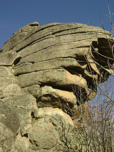 Александр Амзин