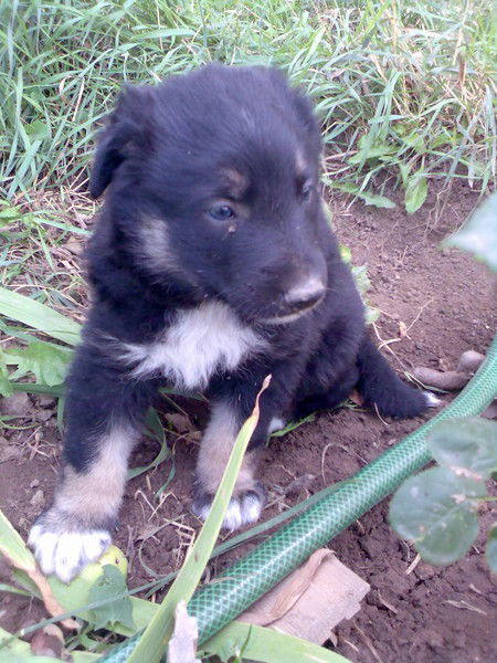 Галина Маликова