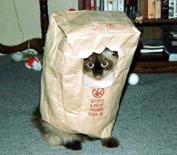 Ольга Добрая