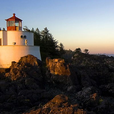 Андрей Тришин