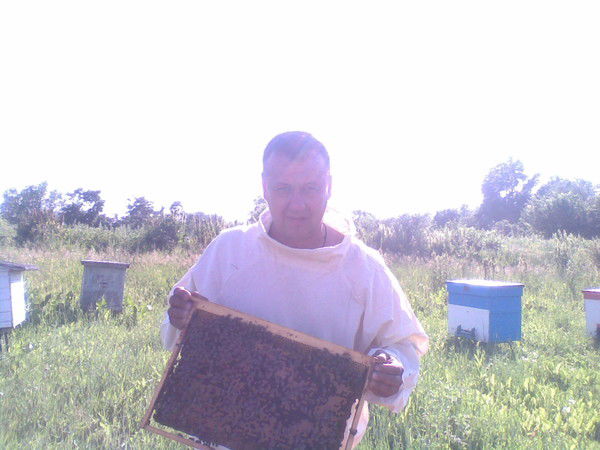 Андрей Гусев