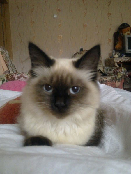 Анастасия Кулинич