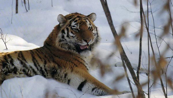 Вова Савченко