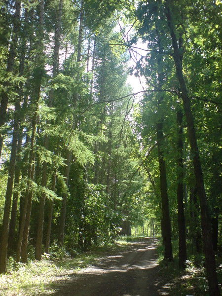 Владимир Марковкин