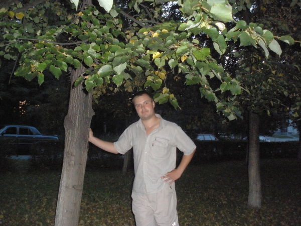 Андрей Костарев